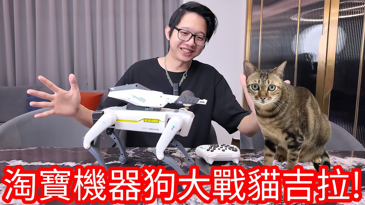 【阿金生活】淘寶機器狗大戰貓吉拉!?