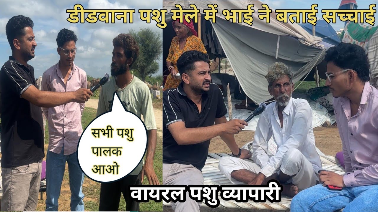 डीडवाना पशु मेला 2025 || Didwana Pashu Mela 2025 || Didwana News || Noor Express || Animal Fair 2025