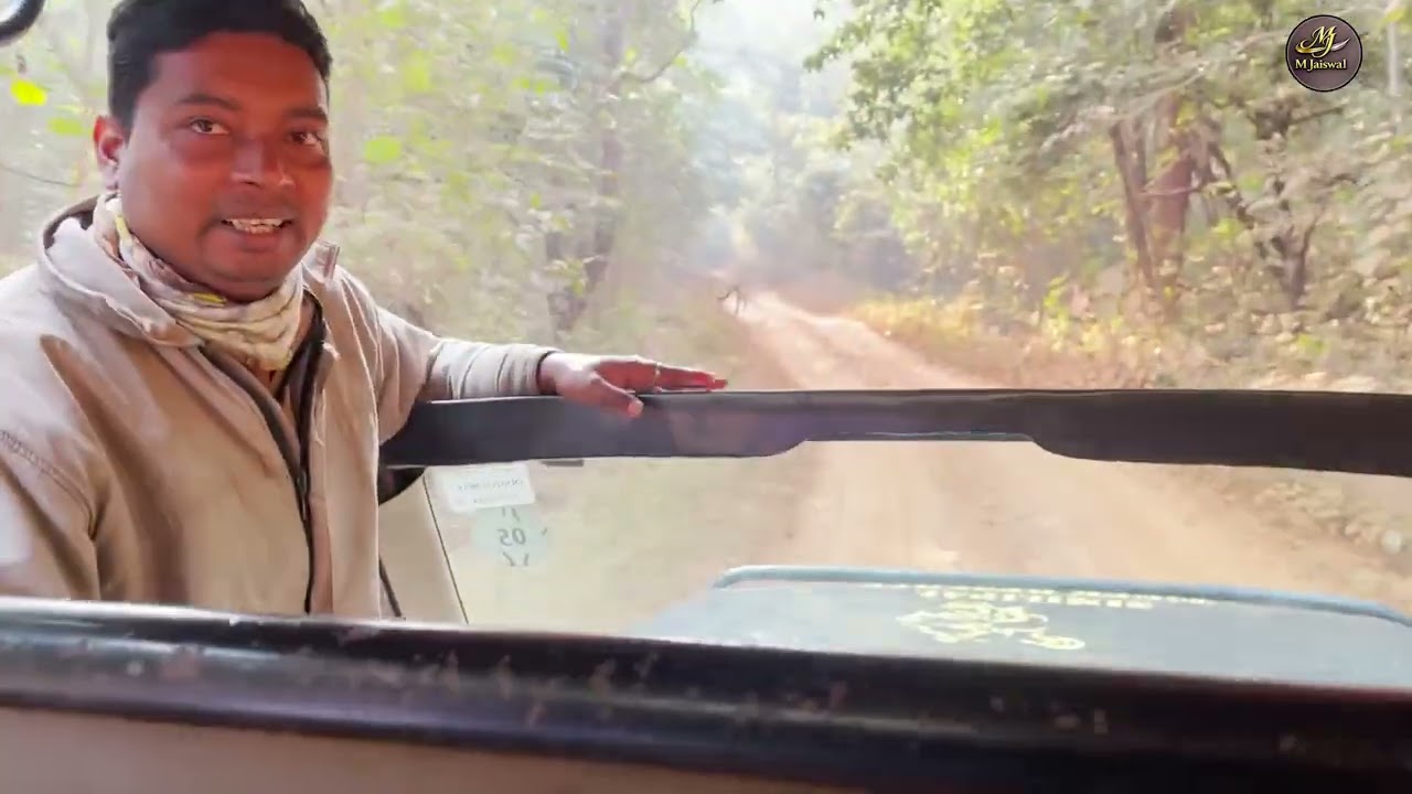 SIMILIPAL Tiger Reserve,,,,M  JAISWAL, Meet nature through the lens, know about safari booking