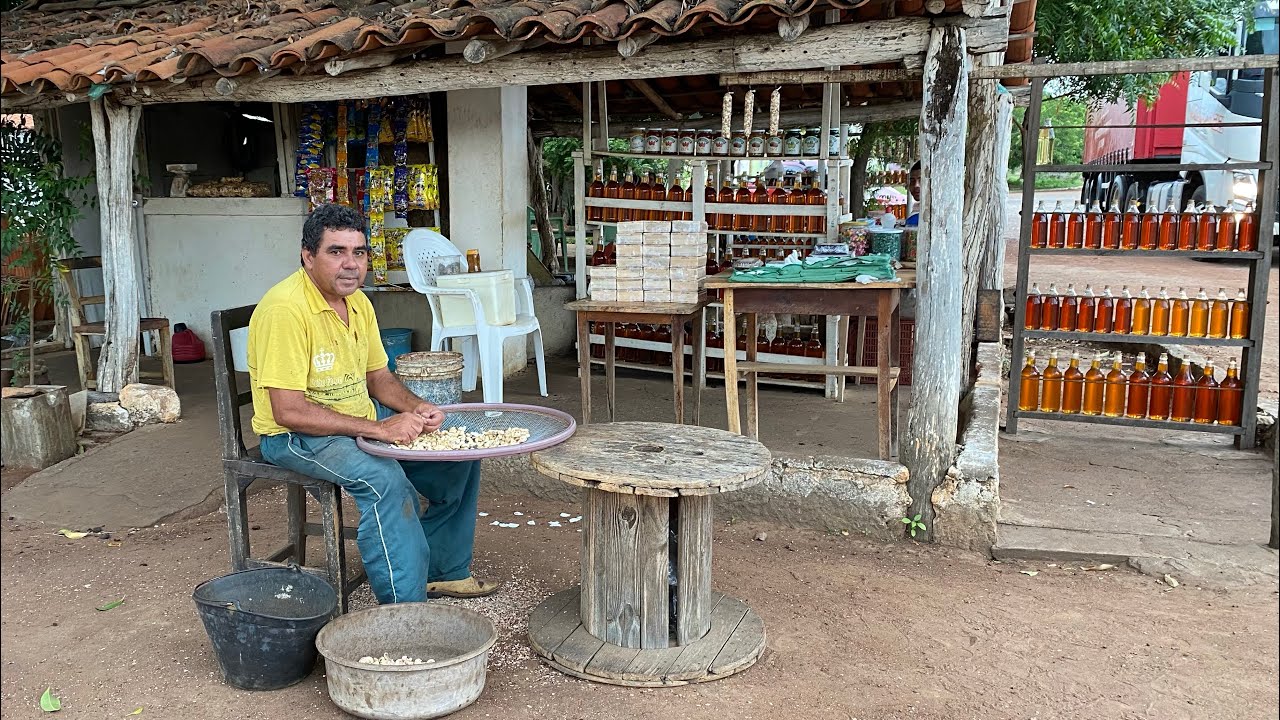 COMO DESCASCAR CASTANHA DE CAJU PRODUÇÃO NA BEIRA DA ESTRADA BR 316 PICOS PIAUÍ