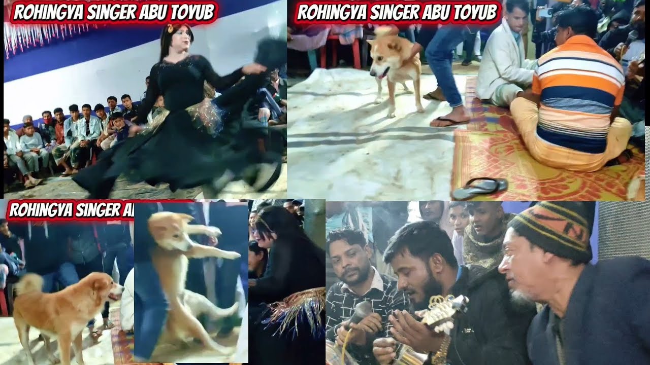 Rohingya singer Abu Toyub 🎶🪕🪕🪕