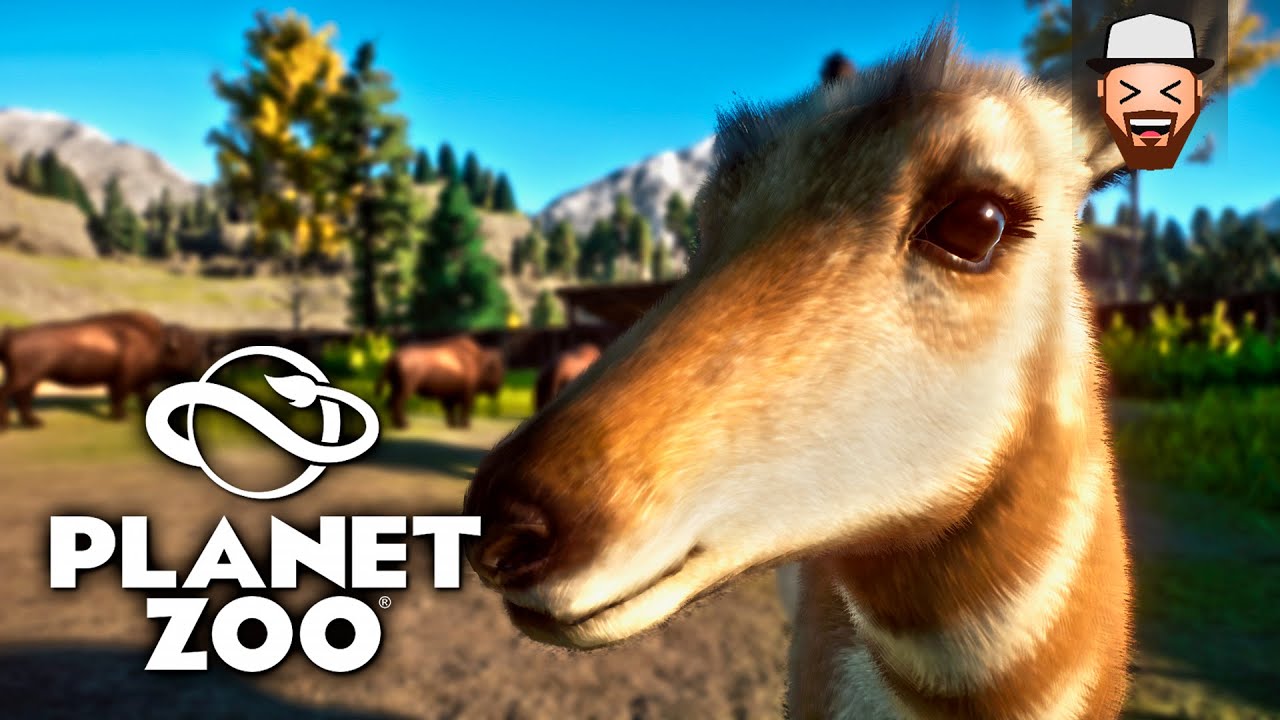 Bisões Americanos e Antilocapras | Planet Zoo #03 | Gameplay pt br