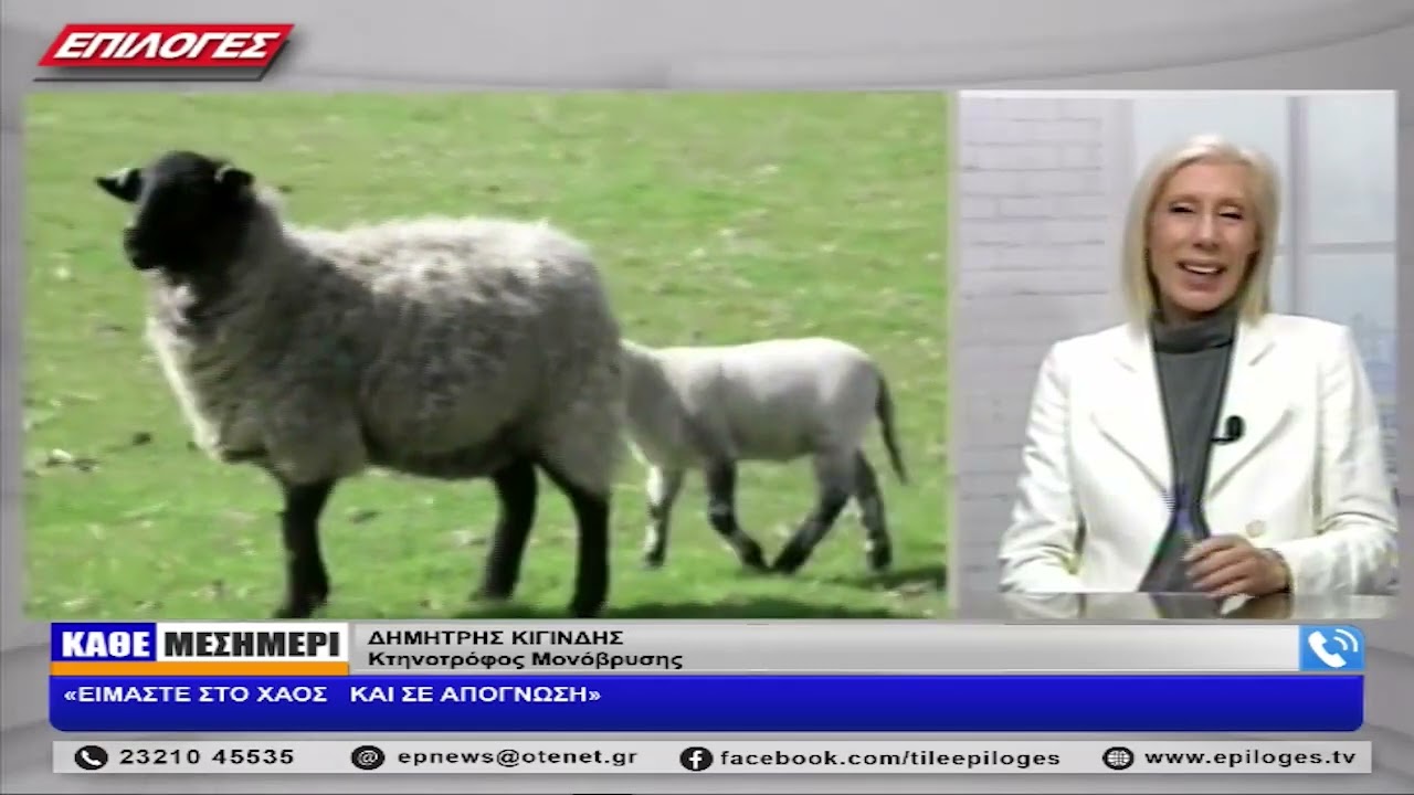 ΔΗΜΗΤΡΗΣ ΚΙΓΙΝΔΗΣ: «ΕΙΜΑΣΤΕ ΣΤΟ ΧΑΟΣ ΚΑΙ ΣΕ ΑΠΟΓΝΩΣΗ»