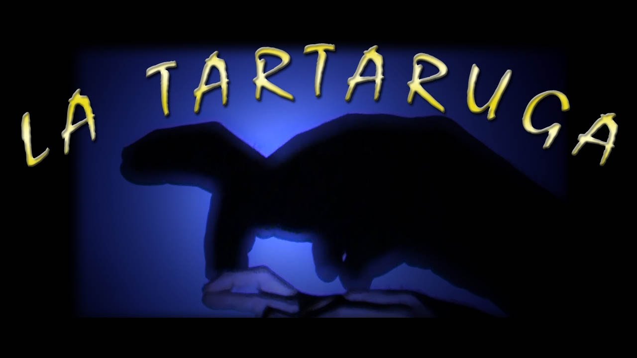 Tutorial Ombre Cinesi: La Tartaruga