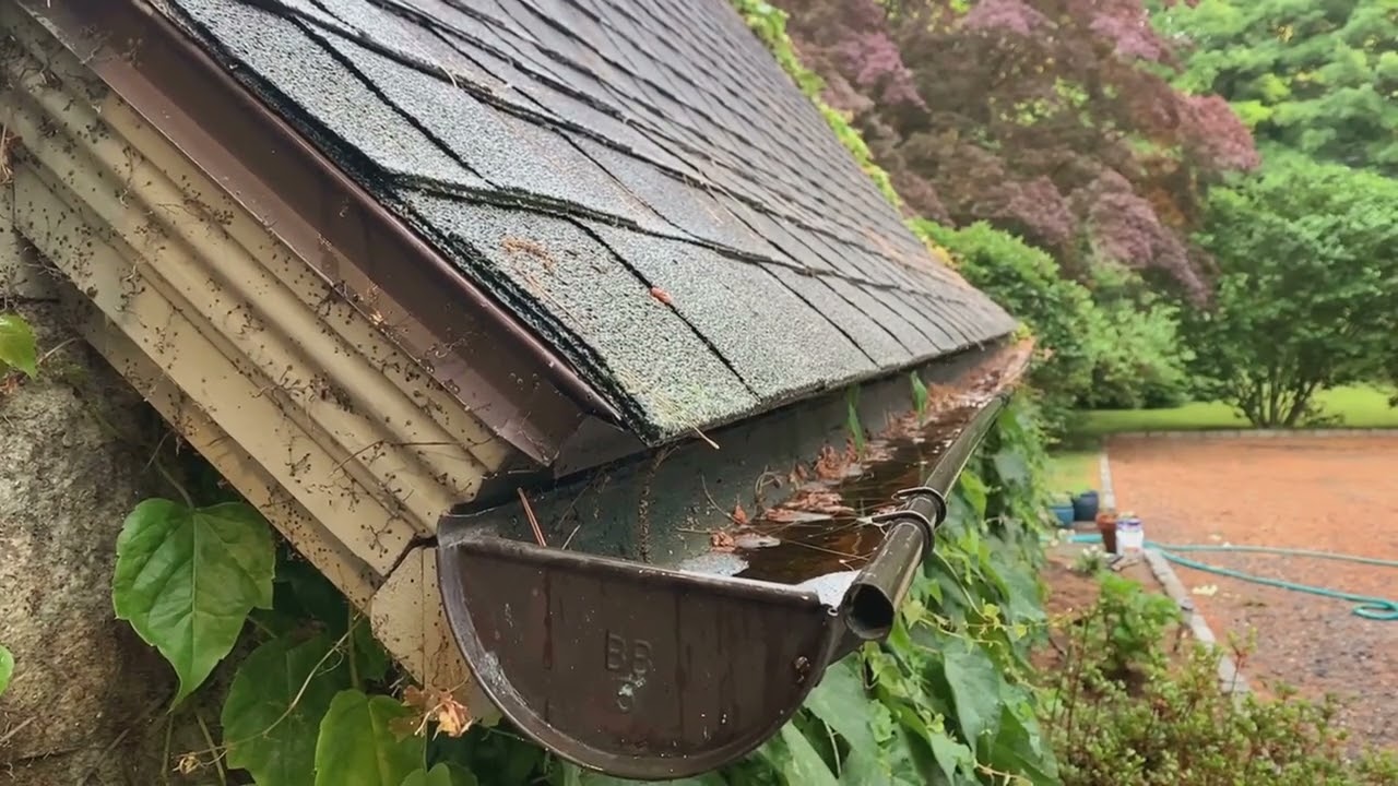 Gutter Cleaning Services
