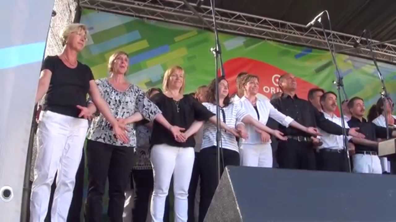 World Choir games 2014. Riga. Singvolution - Liederkranz Kemnat (18.07.2014 no 17.00) - 00330