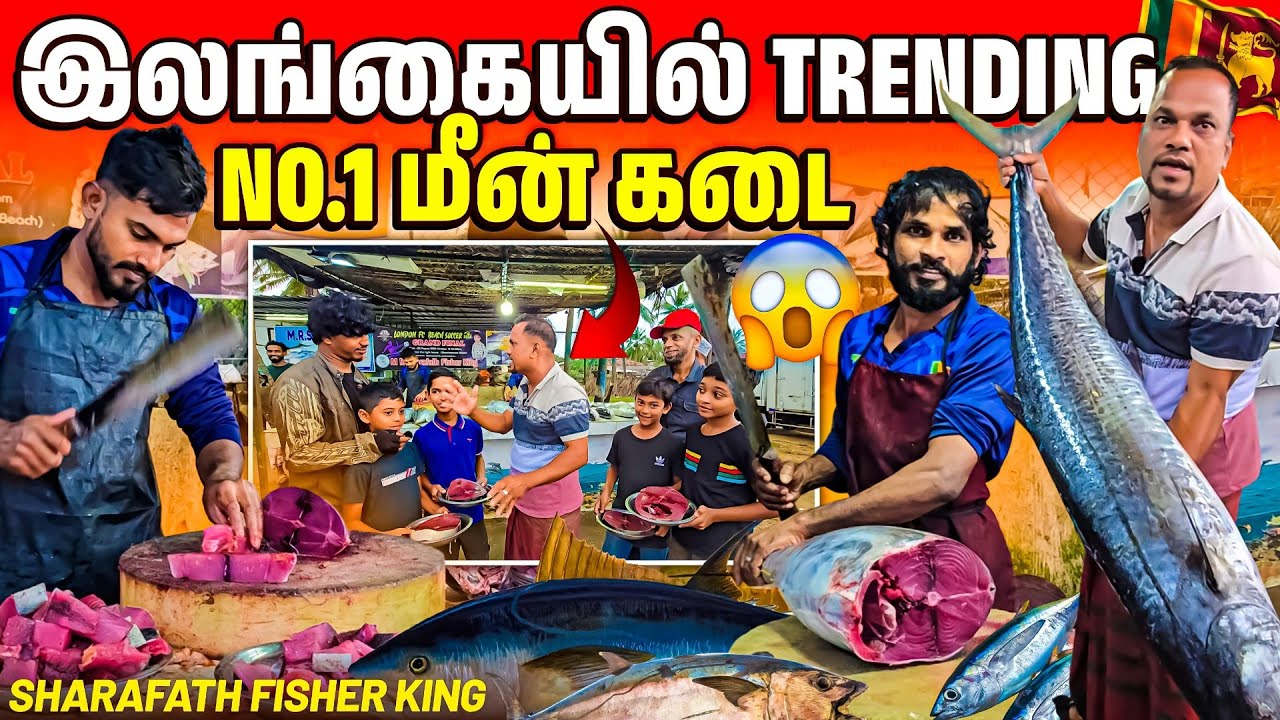 🇱🇰இலங்கையில் இப்படி ஒரு மீன் கடையா 😱 | எங்கயுமே கிடைக்காத fresh fish 🐟🐠 | Rj with Kj 