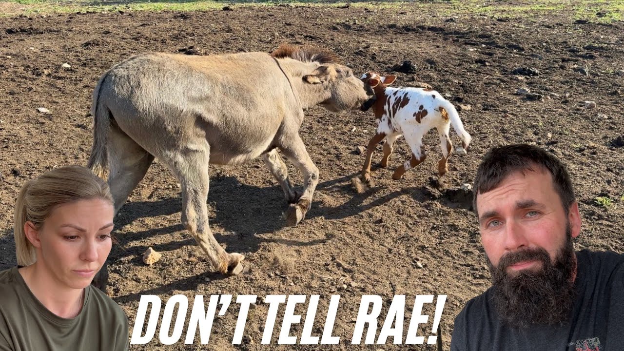 WHY I DON’T FILM EVERYTHING!