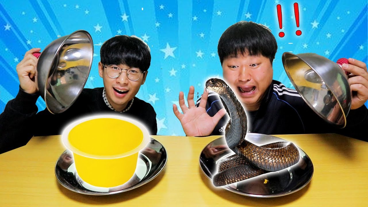 도깨비vs정브르 복불복 먹방 대결! 살아있는 뱀 나왔다ㄷㄷ 생명위기?!