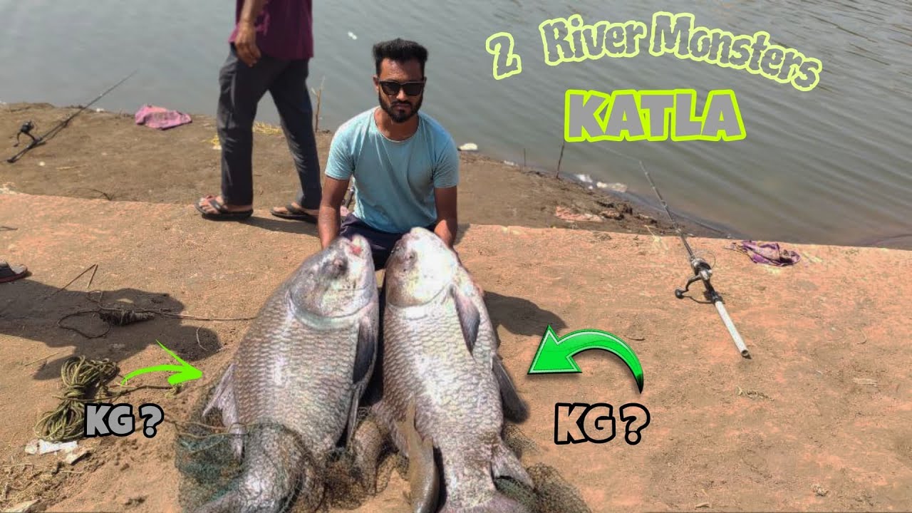 Biggest Katla Fishing Ever 😯 | | Tricks To Catch Monsters Katla Fishes 🇮🇳 | |