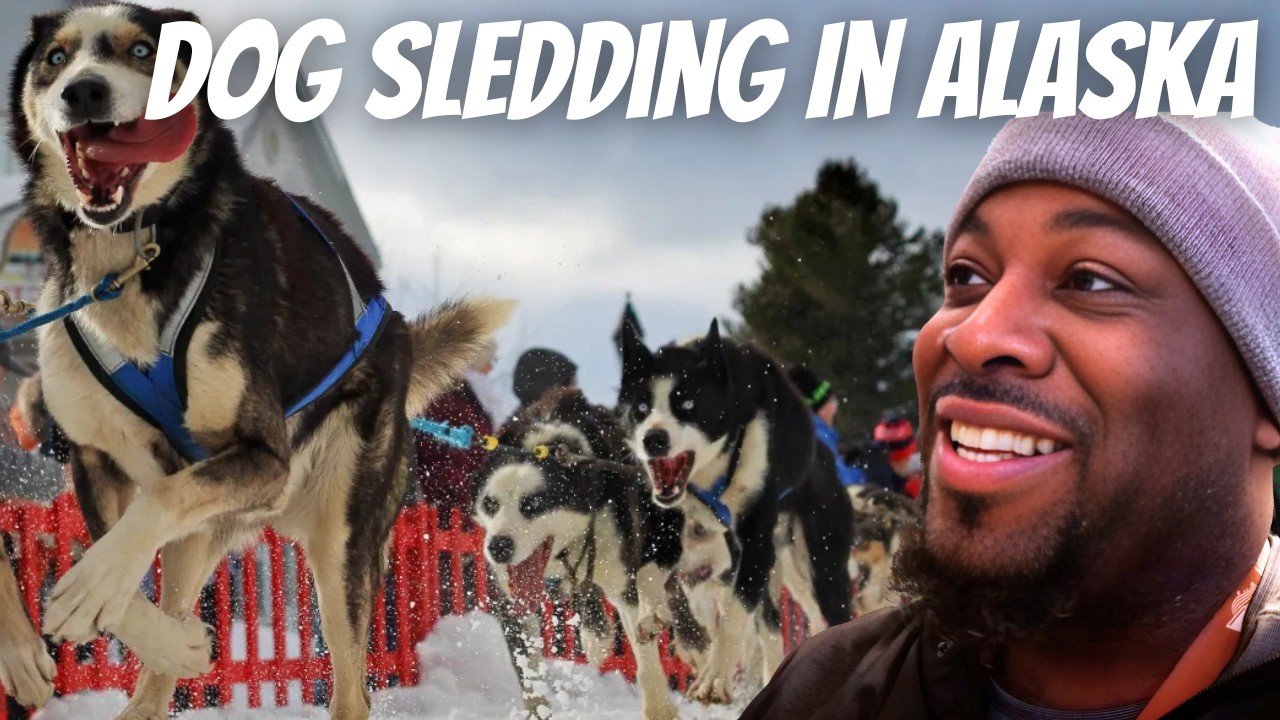 The Thrill of Dog Sledding! Our Unforgettable Alaska Excursion