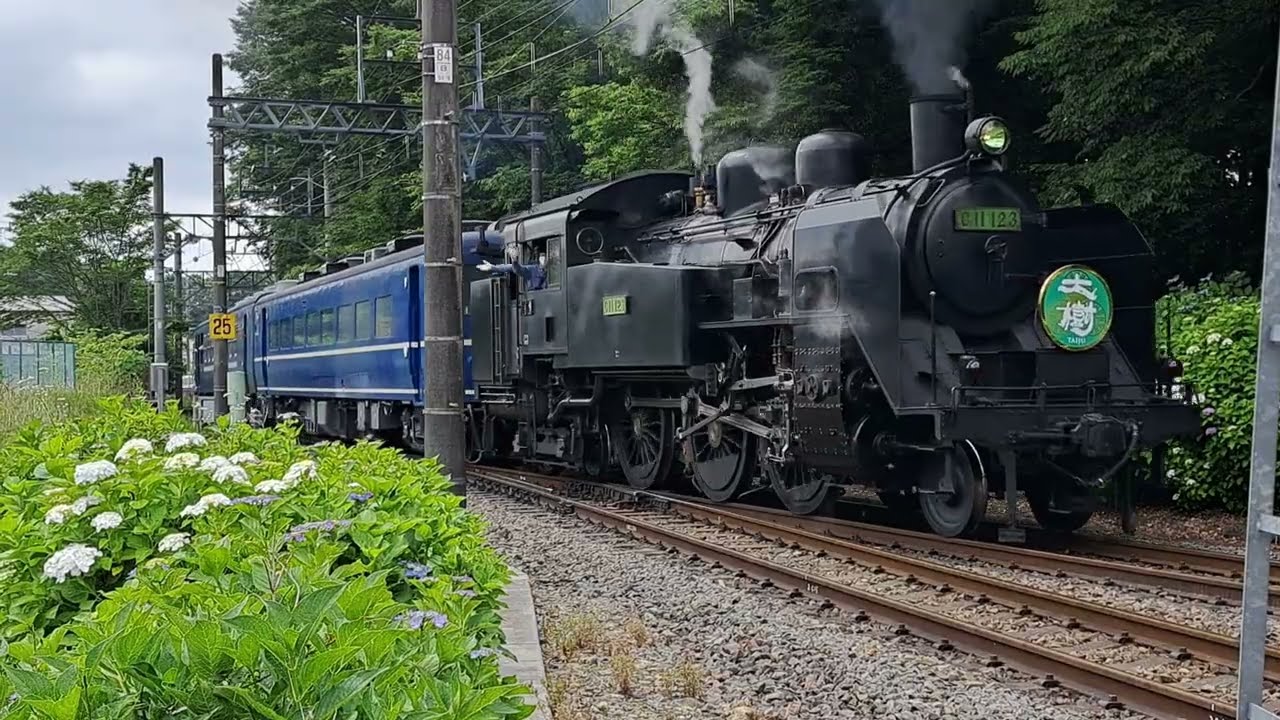 漫遊鬼怒川的蒸汽火車：東武鐵道SL大樹