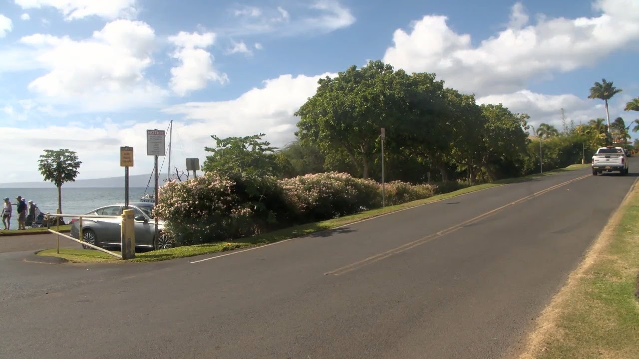 Crews replace kiawe trees at Makena Landing with native ones