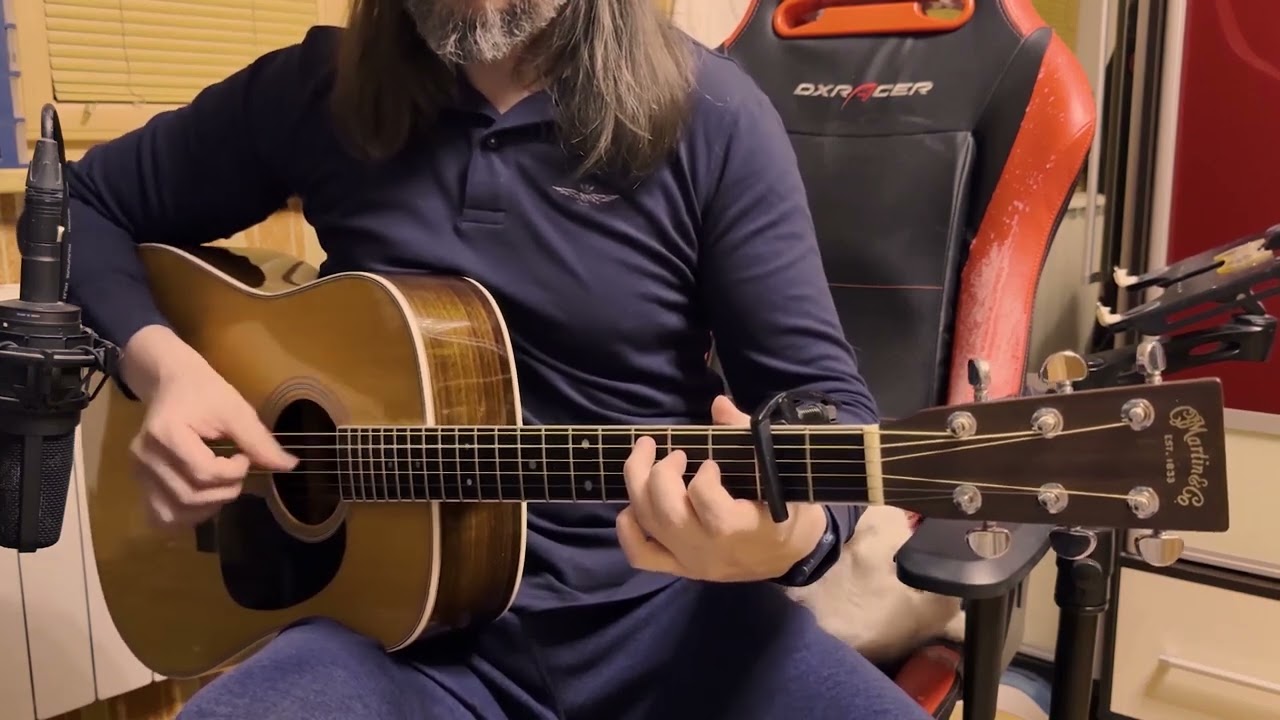 Avicii - Wake Me Up (Fingerstyle Guitar Cover)