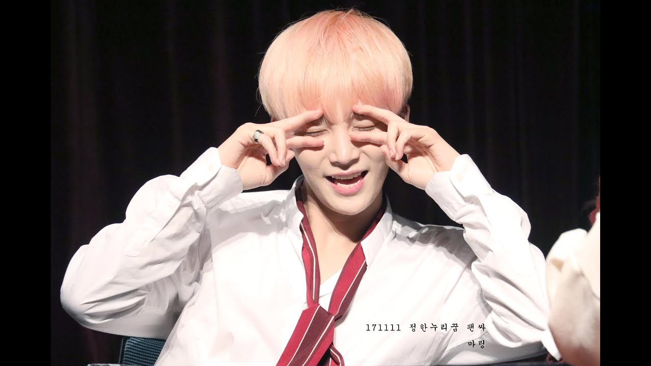 171111 누리꿈 Teen,Age 첫팬싸 정한 귀여미&다정함moment모음♡(feat.조슈아&디노)