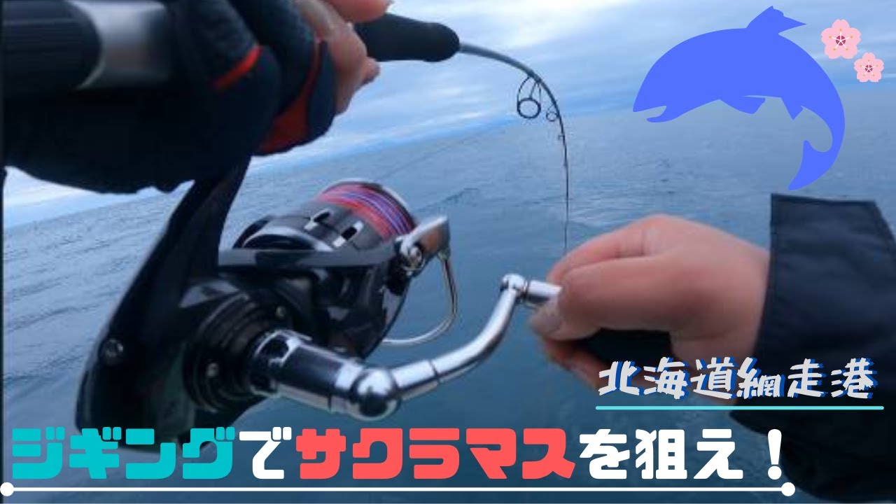 ライトタックルで挑む【サクラマスジギング】- Cherry salmon jigging -