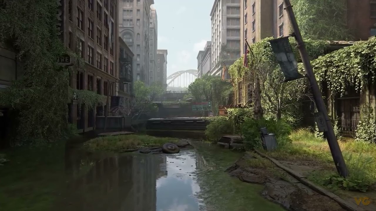 Marks of Transcendence