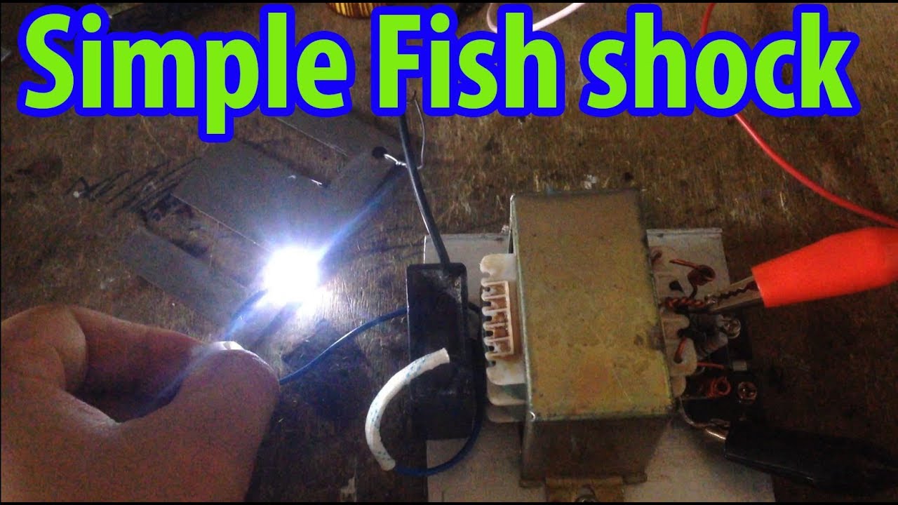 12V inverter stunfish | Fish shock Electric | strum ikan  | How to make setrum ikan