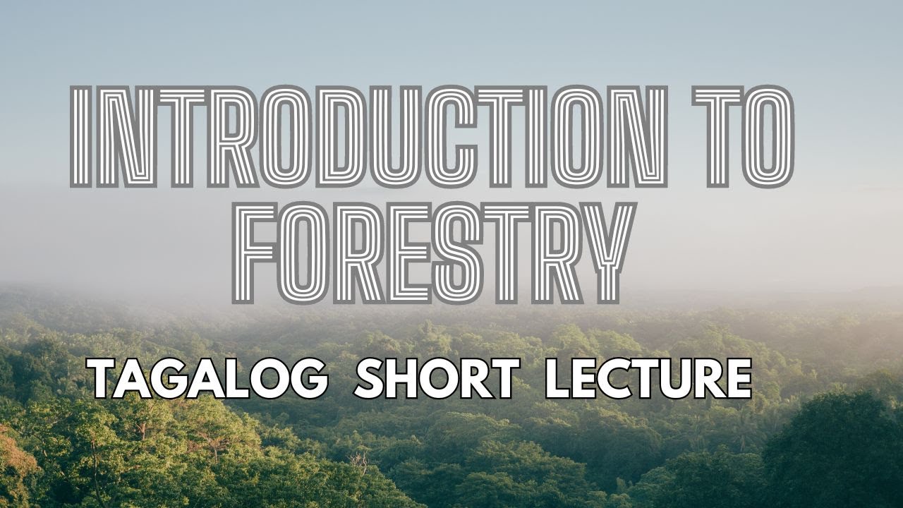 Introduction to Forestry [ Tagalog short lecture ]