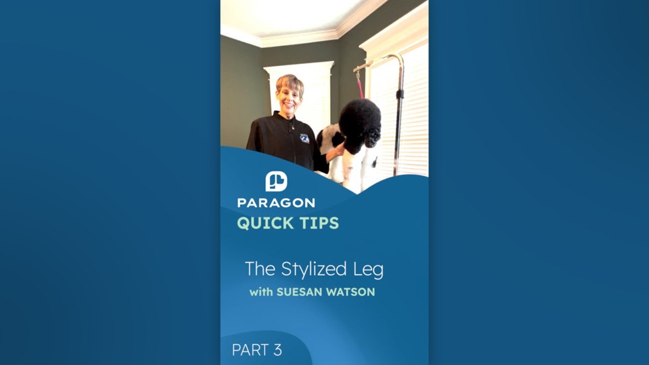 Quick Tips: The Stylized Leg with Suesan Watson - Part 3