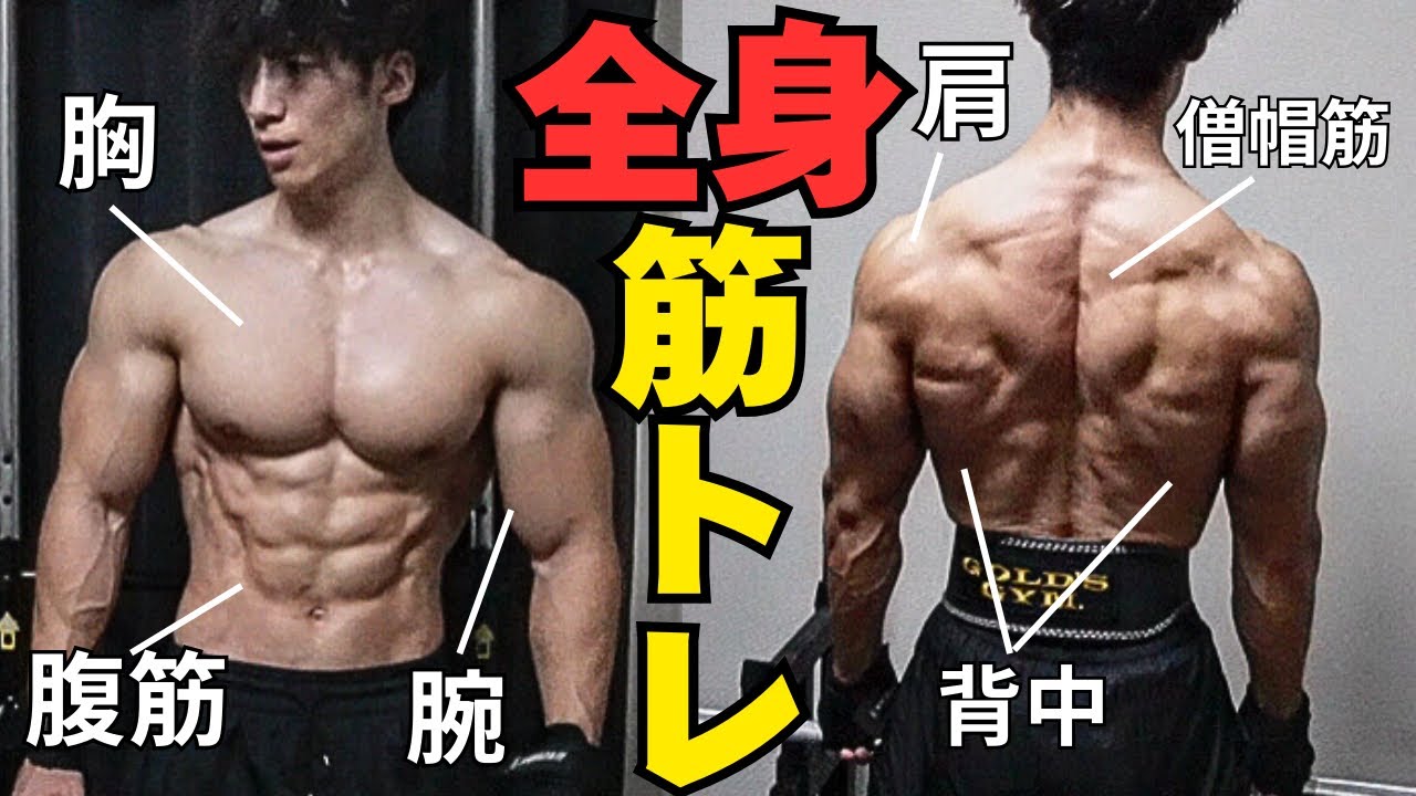 【絶対やるべき】筋肉をつける全身各部位の筋トレ種目