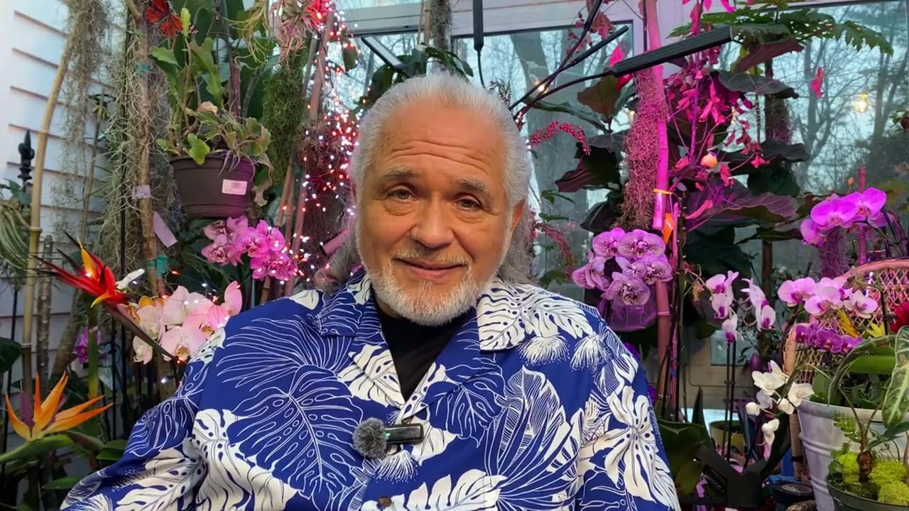 FRANK26….2-14-26……MALIKI CARRIES GUNS