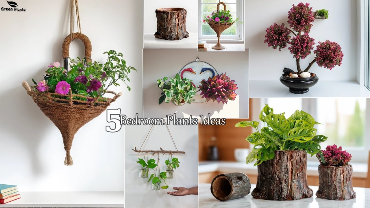 How to Refresh Your Bedroom with 5 Amazing Home Plants Ideas | Bedroom Plants Ideas//GREEN PLANTS