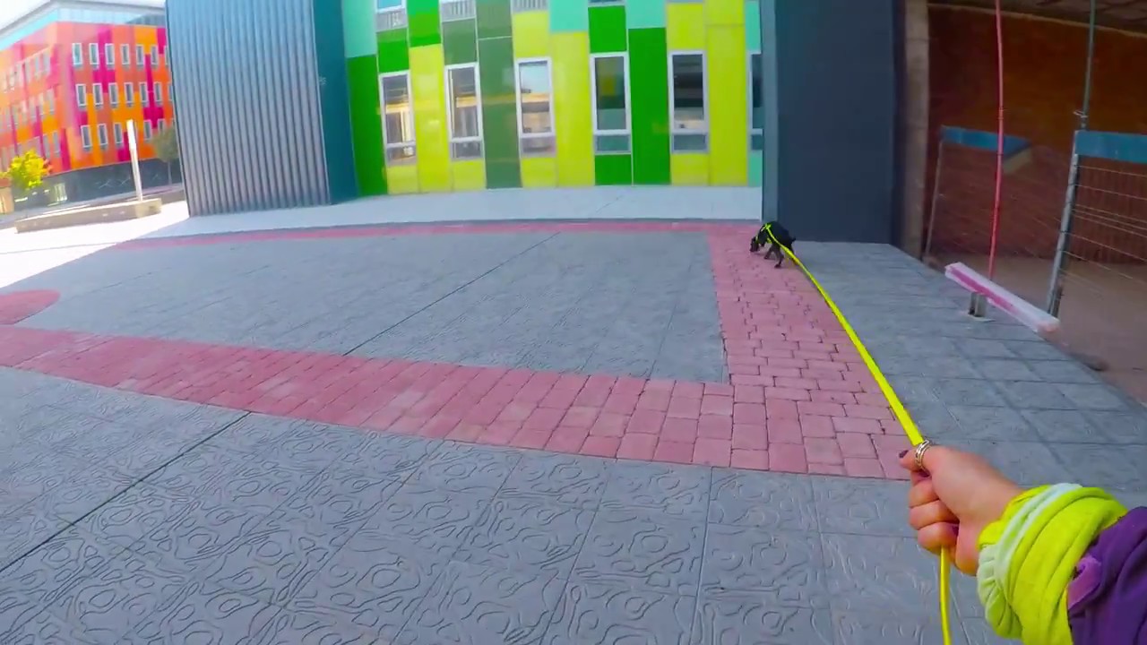 MANTRAILING - Blitz (urbano 290m)