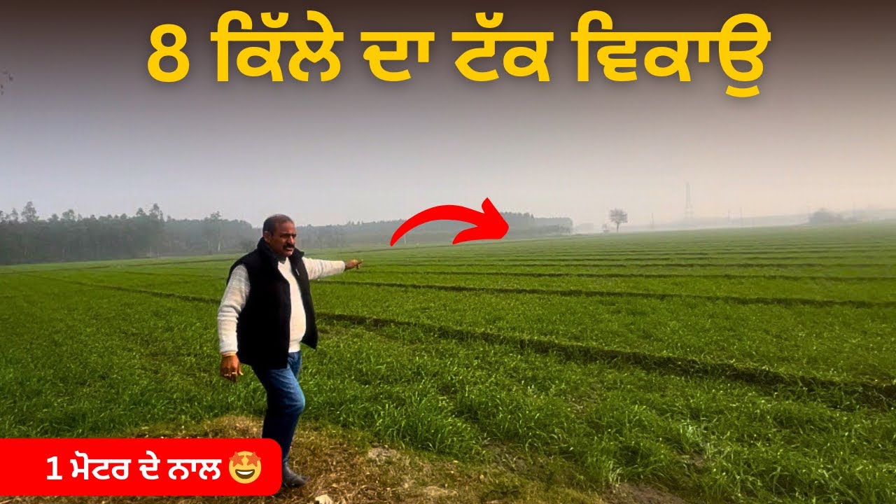8 ਕਿੱਲੇ ਵਿਕਾਉ, 1 motor connection 🤩 land for sale in hoshiarpur Punjabvideo: 258 