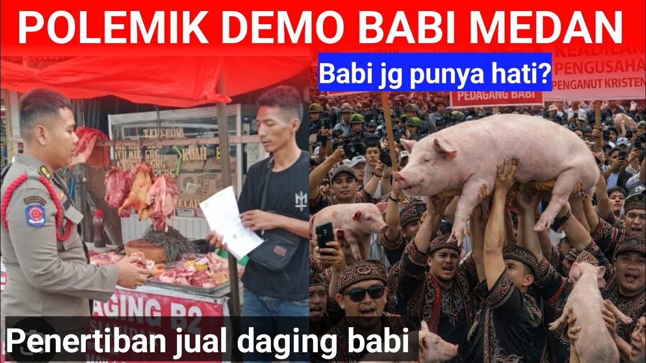 Babi dilarang di Medan Orang Batak marah besar..??? Kalian yang puasa kita yang susah..? Ngelunjak?