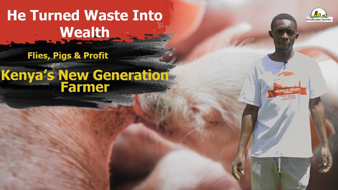 Он бросил поиски работы, чтобы заняться фермерством &mdash; теперь его свиньи и пчёлы приносят тысячи д...