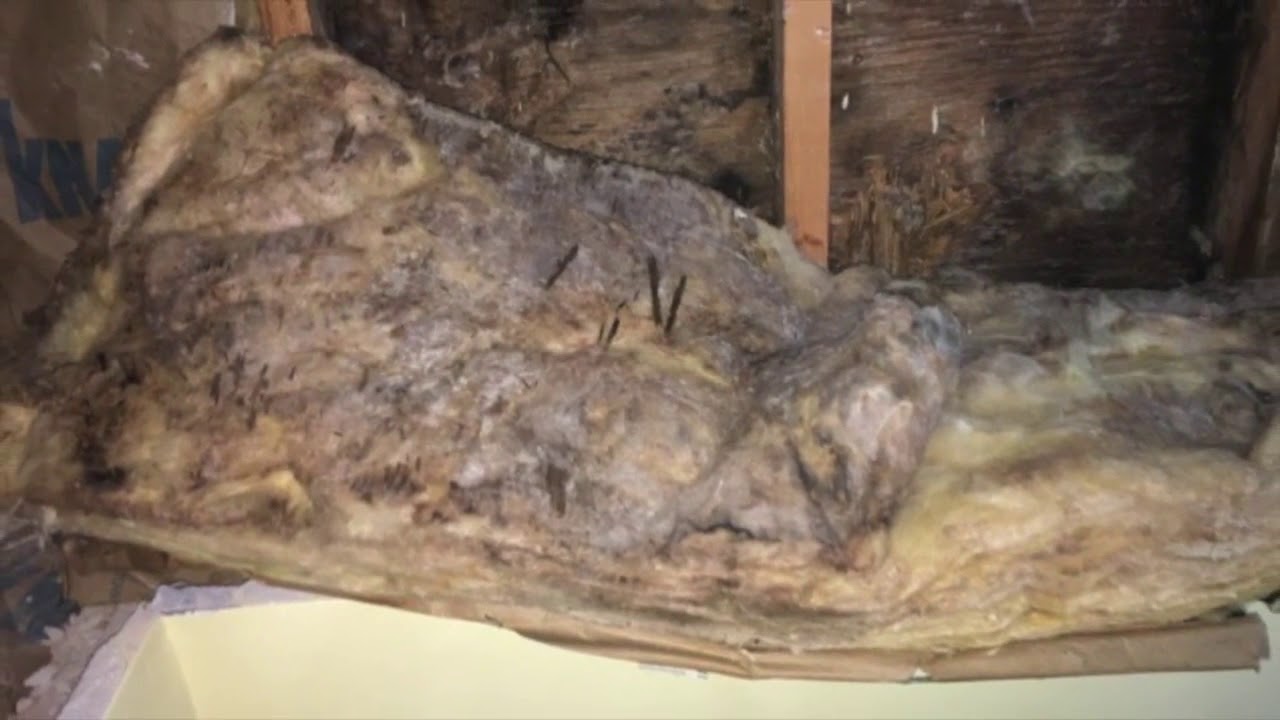 Mold Containment
