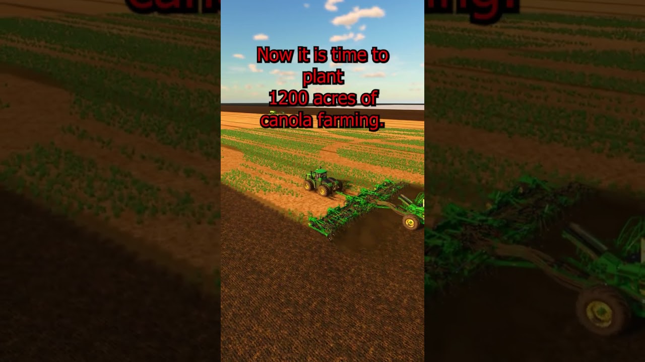 1200 Acre Canola Planting | Big Time Farming