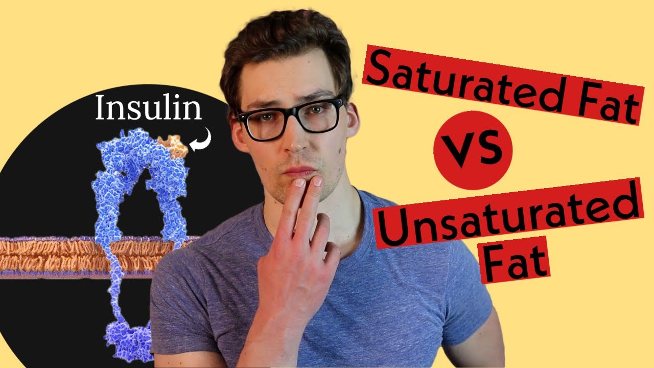 Unsaturated Fat's Role in causing Insulin Resistant Muscle (and Mitochondrial Health) [Study 28]