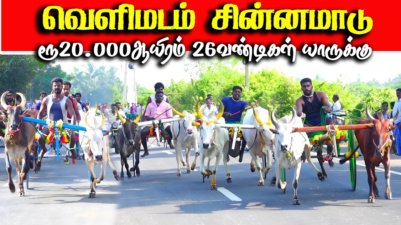 வெளிமடம் சின்னமாடு 1 பந்தயம் 14.02.2026