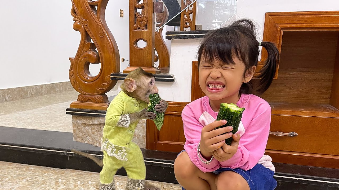 Monkey Annie and Diep Anh grimaced when eating bitter melon, so funny
