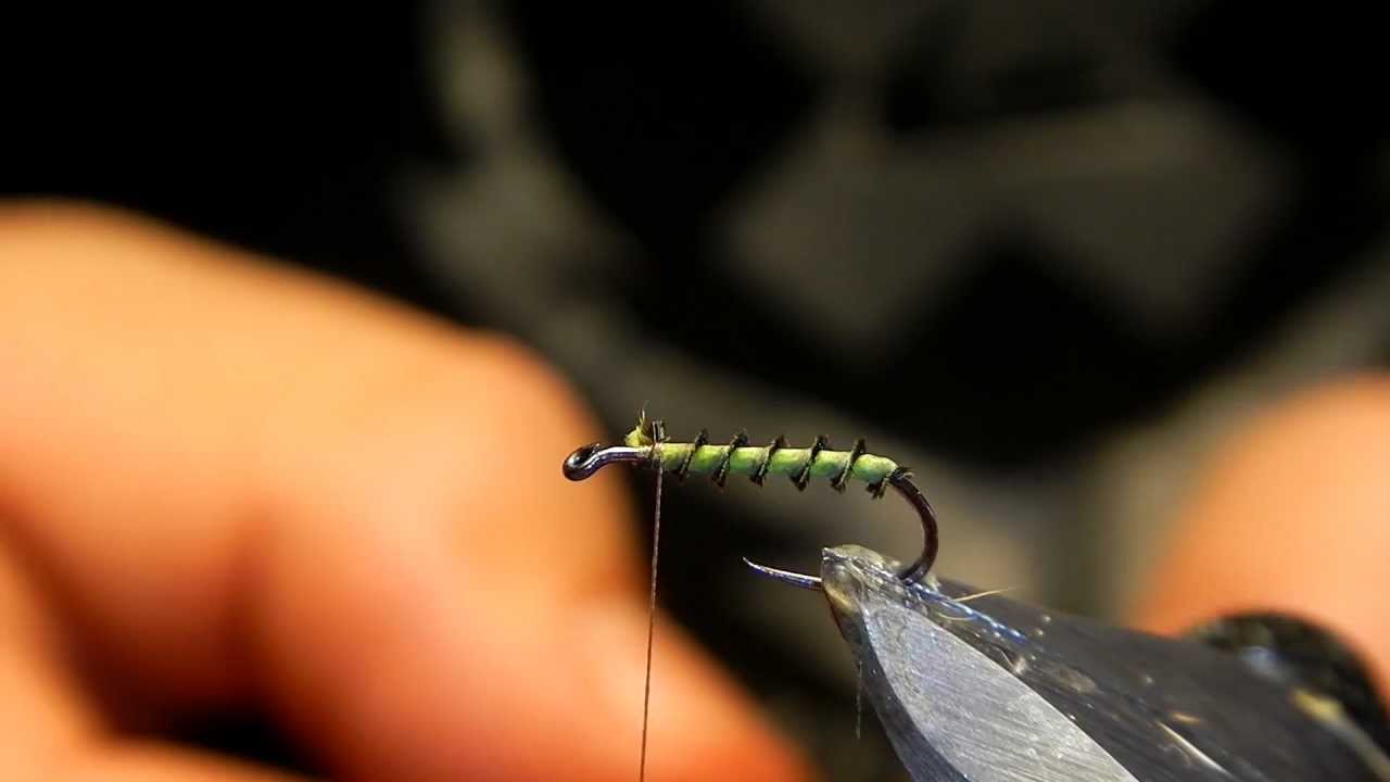 sedge cul de becasse