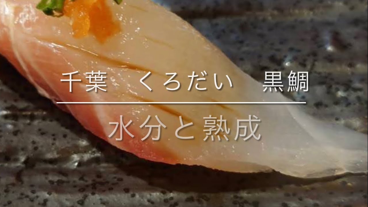 千葉　くろだい　黒鯛　水分と熟成　　身質や水分、熟成についてお話してます。良かったらぜひ