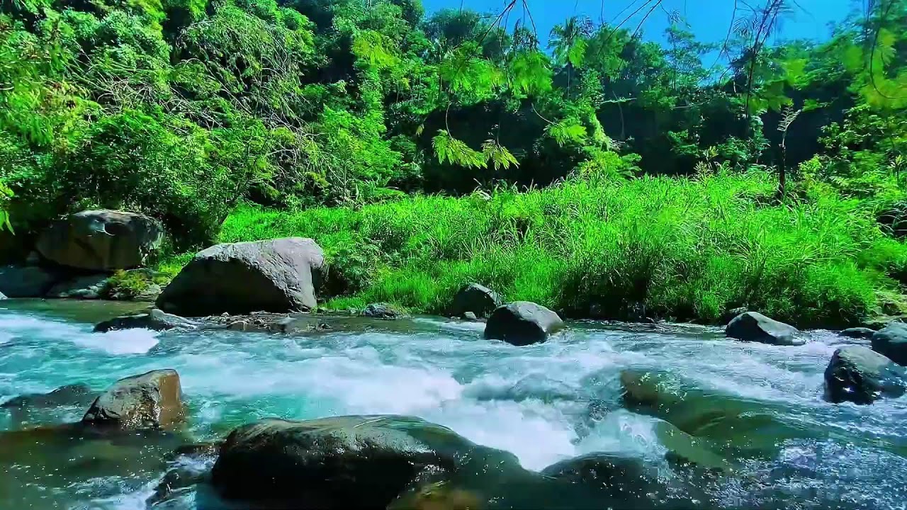 Flowing Stream Water, Mountain River Sounds, Forest Sleep Noise