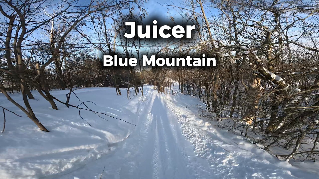 Juicer - Blue Mountain - February 2026