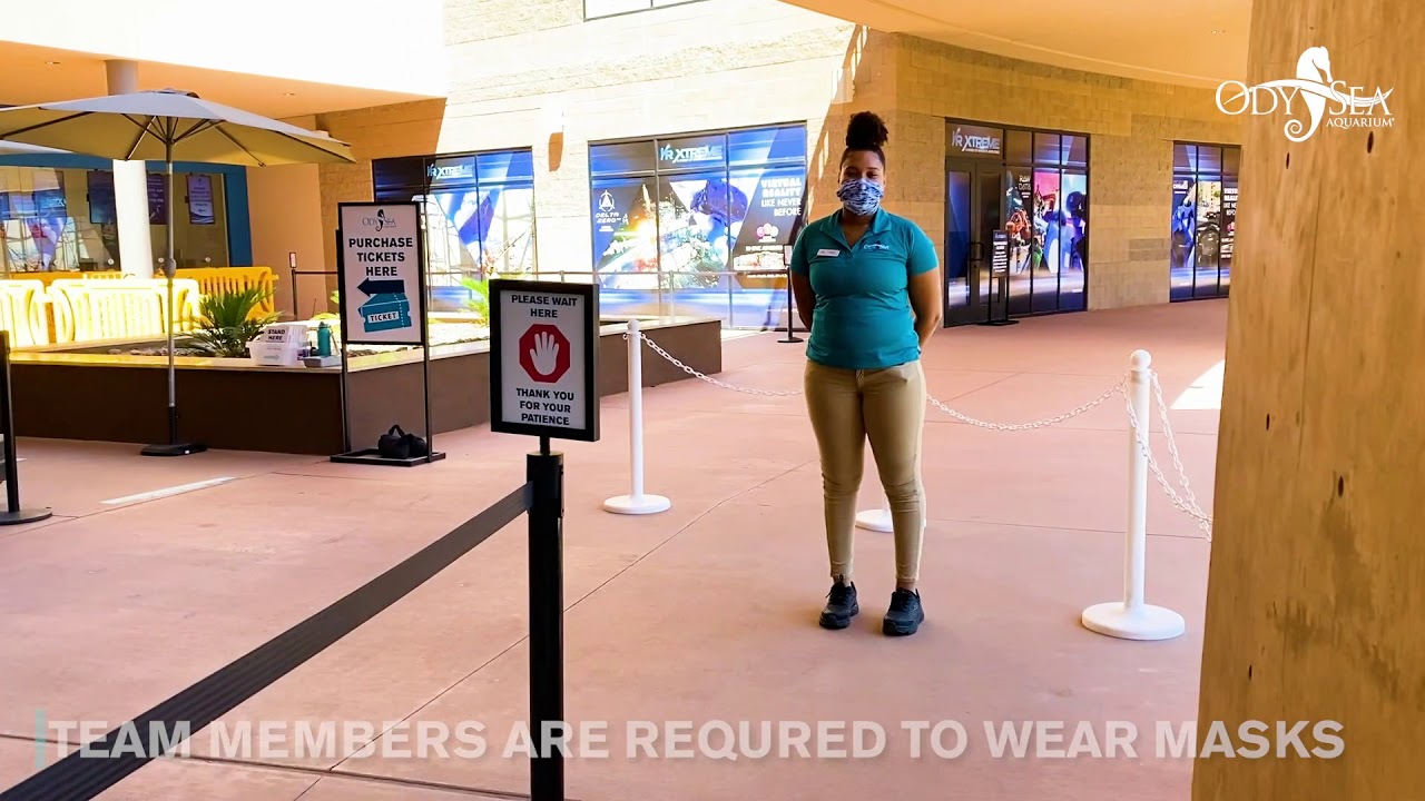 Welcome Back - What OdySea Aquarium is doing to provide you a safe environment.