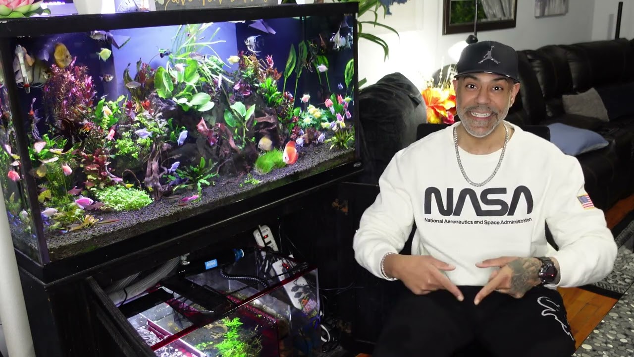 Why I left YouTube, The Reef, Freshwater Aquarium Setups, and more - NYC Aquatics By NewYorkSteelo.