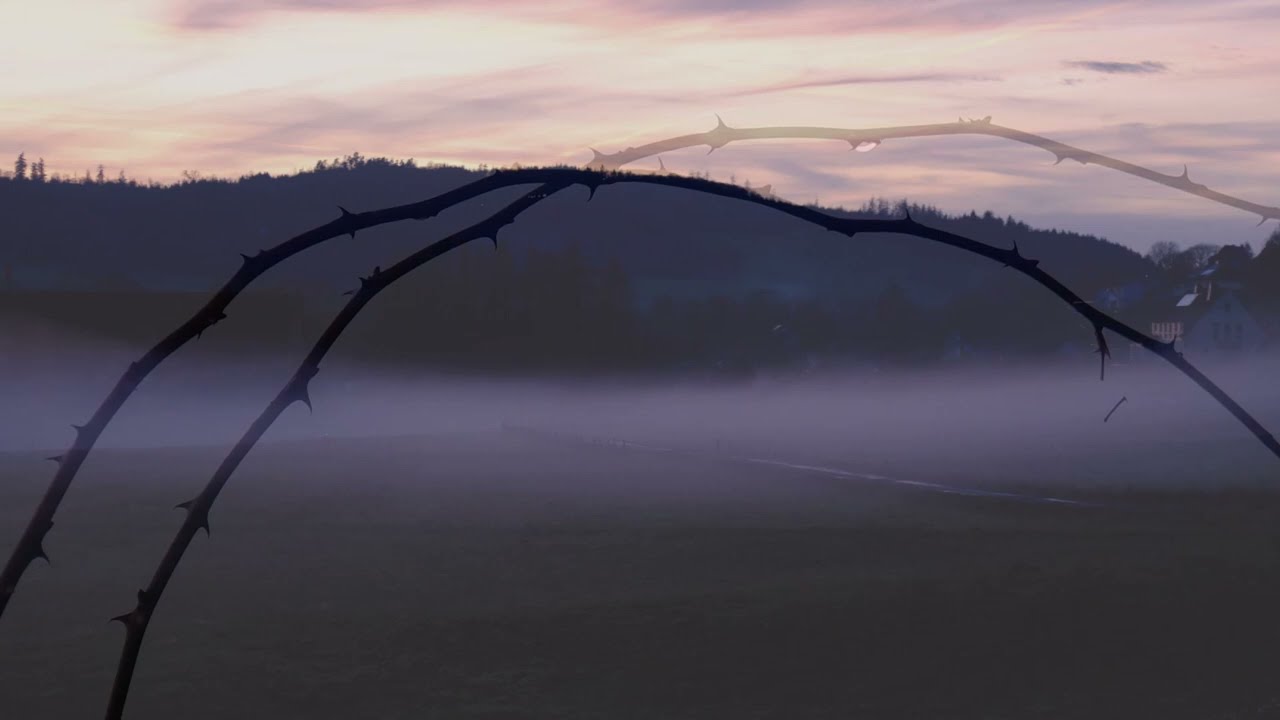 Nebel im Orketal zur Wintersonnenwende von Jürgen Römer