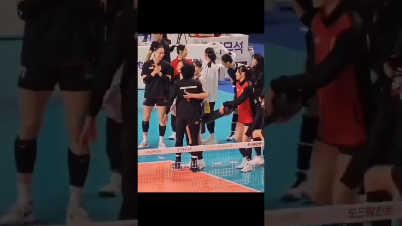 Megatron Red Spark News Update  #megawati #volikorea #sports #volleyball