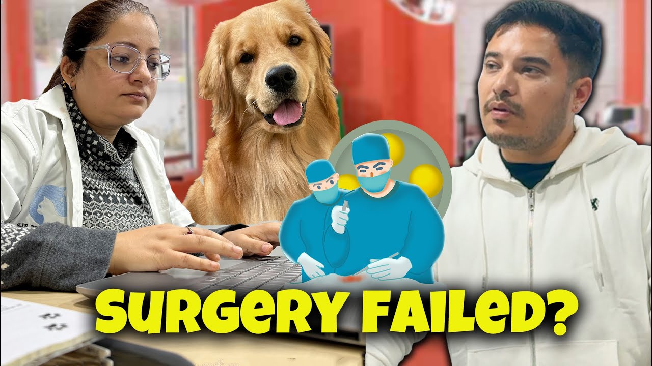 Leo ki surgery FAIL ho gayi??? 😣😞@THEHIMALAYANHUSKY