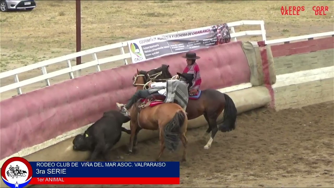 3ra SERIE RODEO CLUB VIÑA DEL MAR ASOC. VALPARAISO