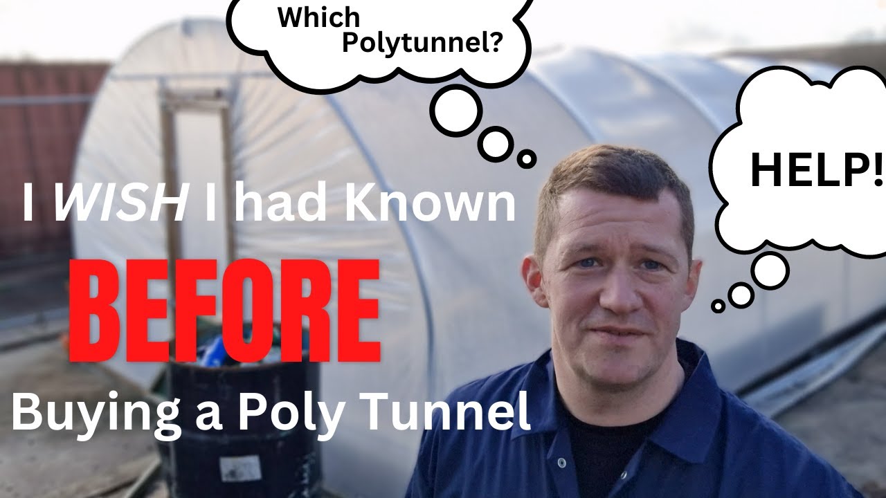 Мои мысли о моих первых туннелях Polytunnel спустя год
