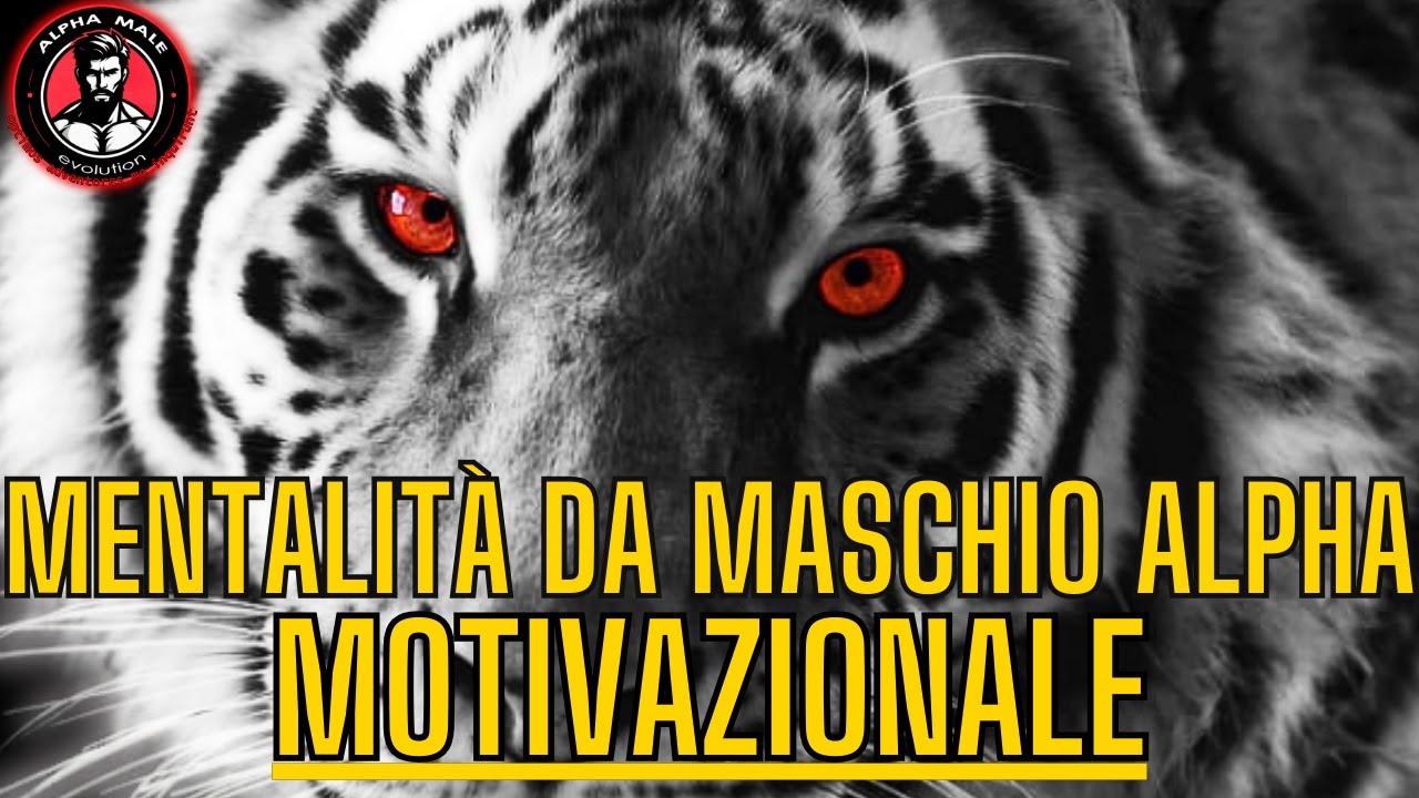 MENTALIT&Agrave; DA  MASCHIO ALPHA MOTIVAZIONALE