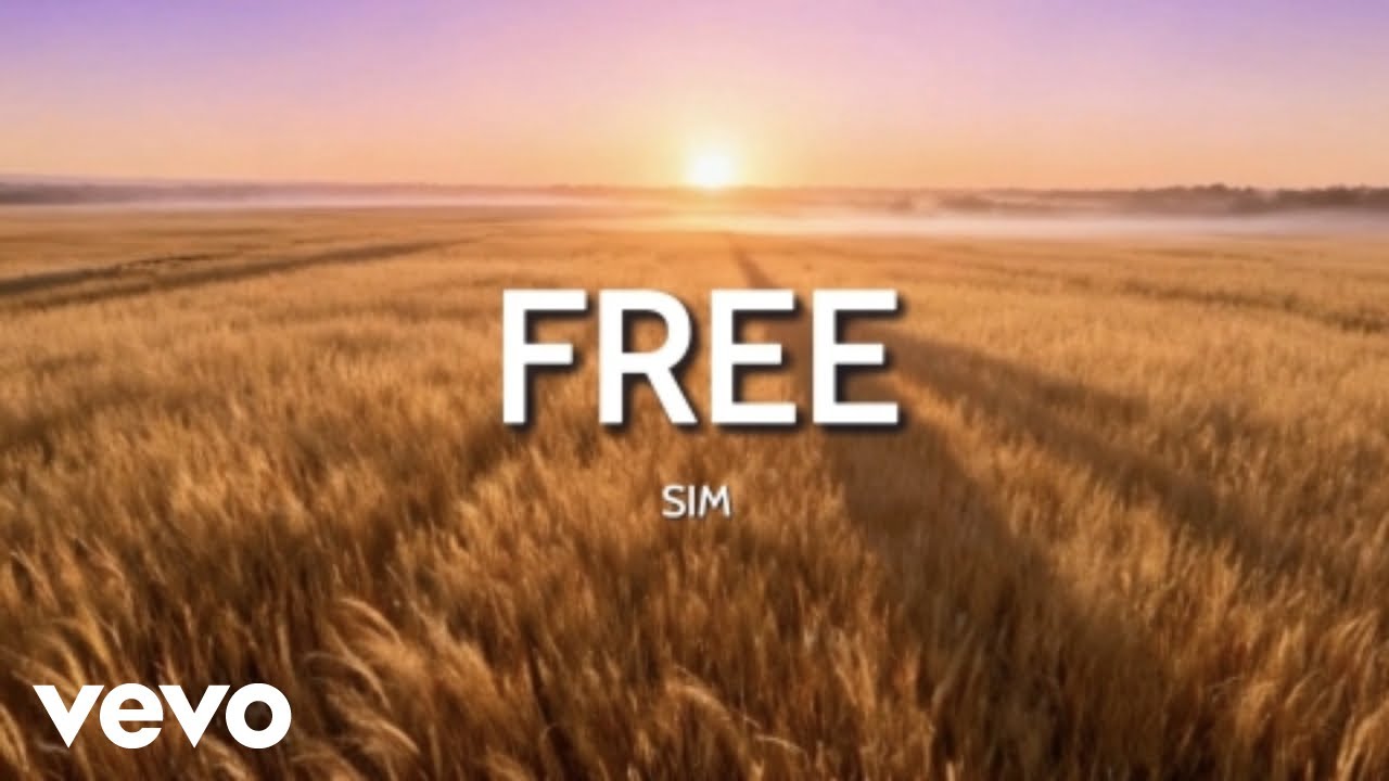SIM - FREE