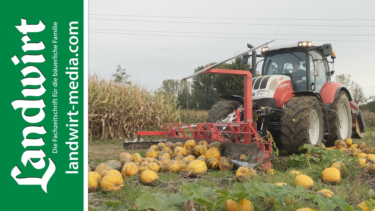 Selbst gebauter Kürbisschieber | landwirt-media.com